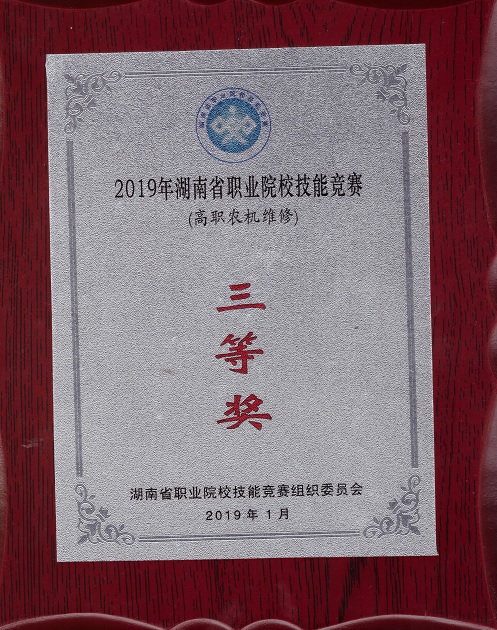 2019.jpg